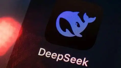 DeepSeek 特色示意图